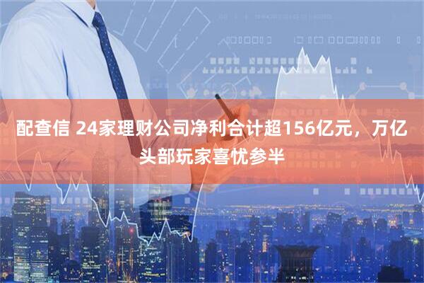 配查信 24家理财公司净利合计超156亿元，万亿头部玩家喜忧参半