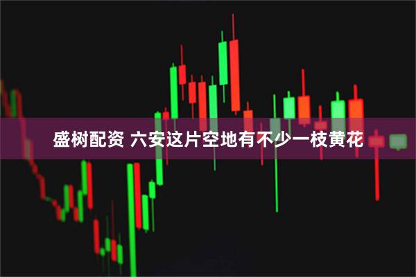 盛树配资 六安这片空地有不少一枝黄花