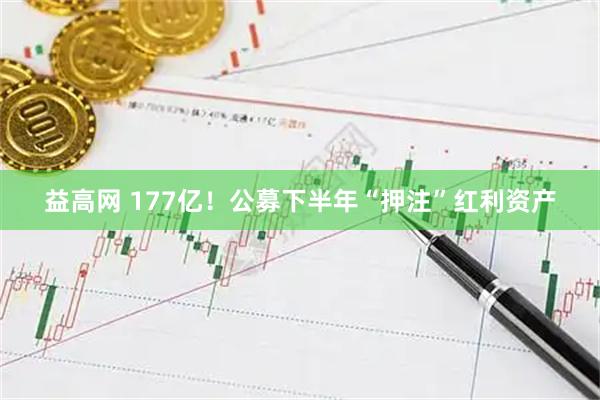 益高网 177亿！公募下半年“押注”红利资产