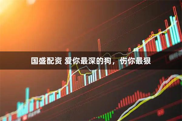 国盛配资 爱你最深的狗，伤你最狠