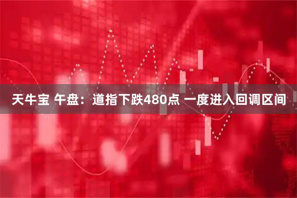 天牛宝 午盘：道指下跌480点 一度进入回调区间