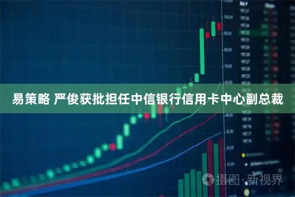 易策略 严俊获批担任中信银行信用卡中心副总裁